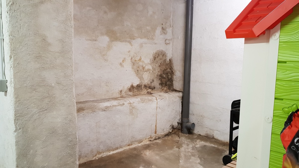 Infiltrations d'eau - Expertise humidité à Pamiers